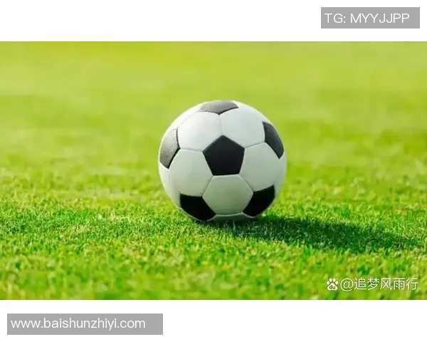 通过独特外貌和球场表现猜测足球明星的身份与特点 通过独特外貌和球场表现猜测足球明星的身份与特点